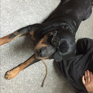 Meet your Posher, Debbie